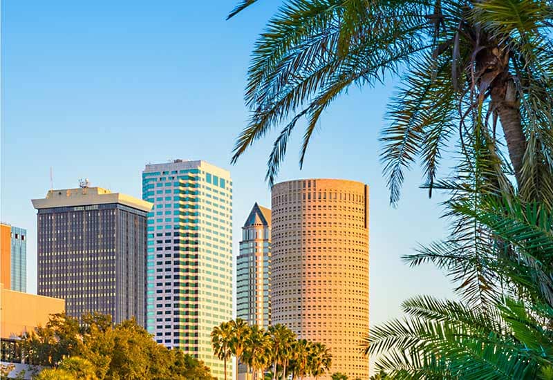 City of Tampa at sunset with palm trees