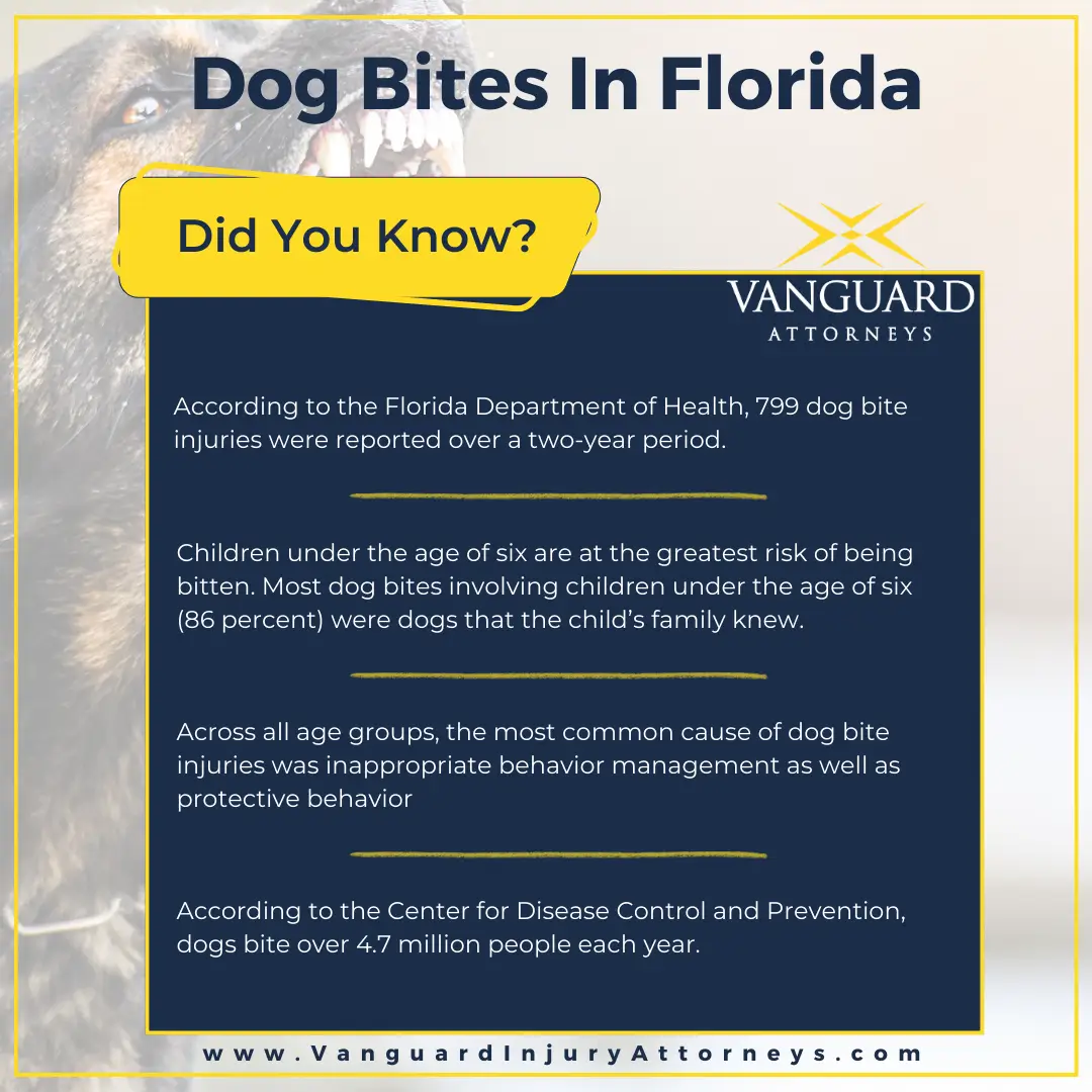 Tampa, Florida Dog Bite Attorney Dog Bite Statistics