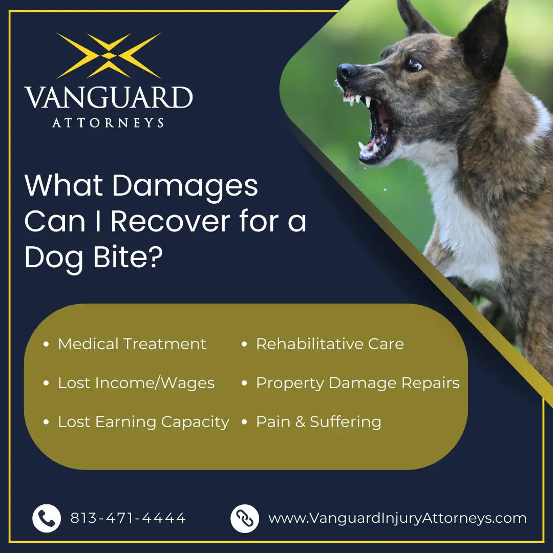 Tampa, Florida Dog Bite Attorney recoverable Damages